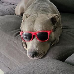 Meet your Posher, Jeremy